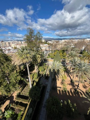 IMG 20250213 WA0007(1)